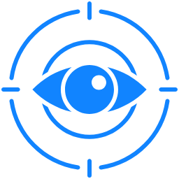 vision